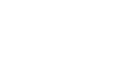 Ethnicraft