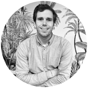 #wearebedimo - Tom Degroote