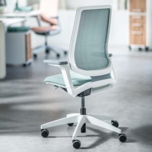 Sedus-seflex Ergonomic chair blue