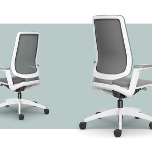 Sedus-seflex Ergonomic office chair