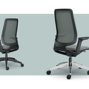 Sedus-seflex Ergonomic office chair with castors