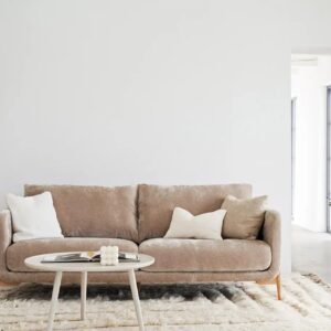 Sits-Jenny Canape d'acceuil beige