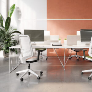 Forma 5 - Dot.Pro executive seat