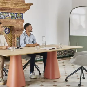 EsPattio – Baelo réunion et efficacité en toute simplicité